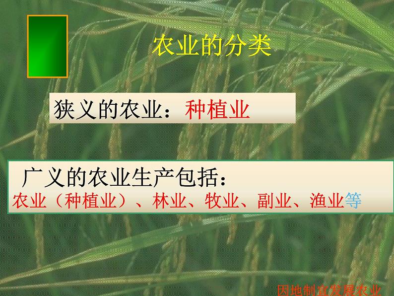 （湘教版）八年级地理上册课时同步课件 4.1农业第一课时05