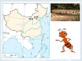 人教版七年级地理上册 1.3 地图的阅读课件PPT