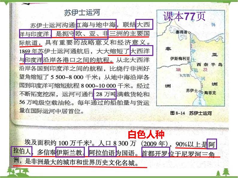 8.2埃及-七年级地理下册  同步教学课件+练习+讲评（湘教版）05
