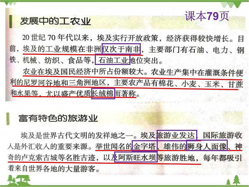 8.2埃及-七年级地理下册  同步教学课件+练习+讲评（湘教版）08