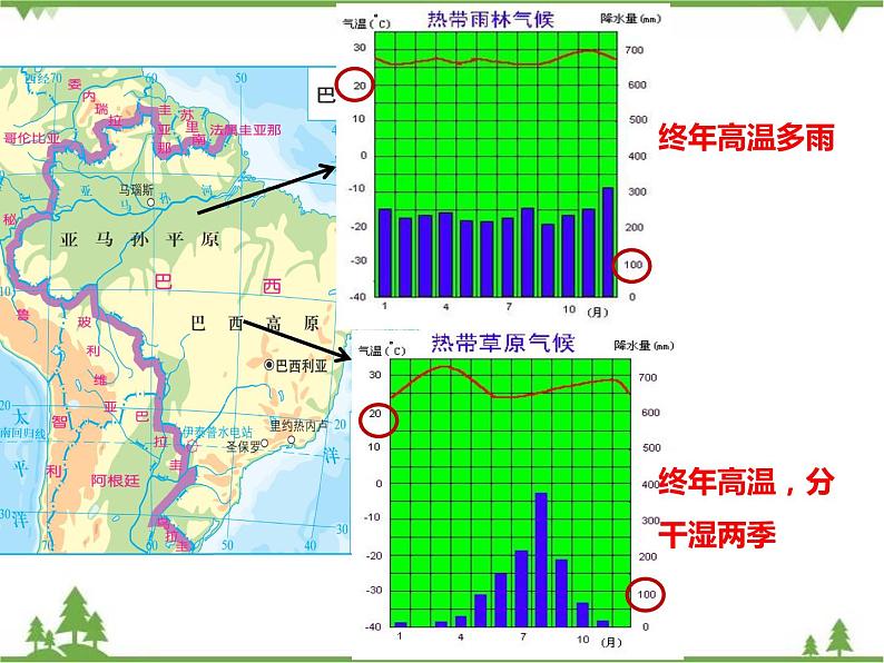 8.6巴西-七年级地理下册  同步教学课件+练习+讲评（湘教版）07