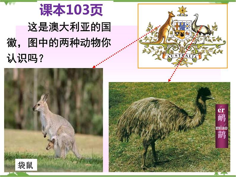 8.7澳大利亚-七年级地理下册  同步教学课件+练习+讲评（湘教版）02