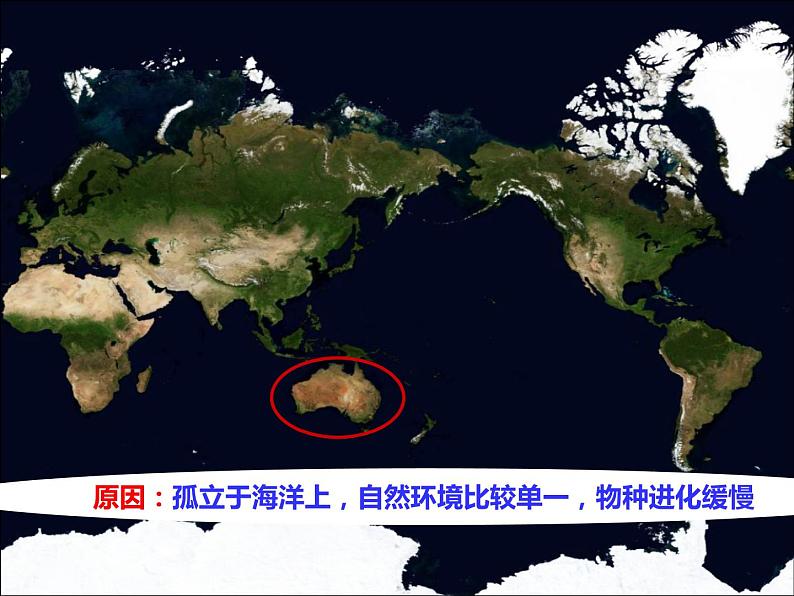 8.7澳大利亚-七年级地理下册  同步教学课件+练习+讲评（湘教版）06