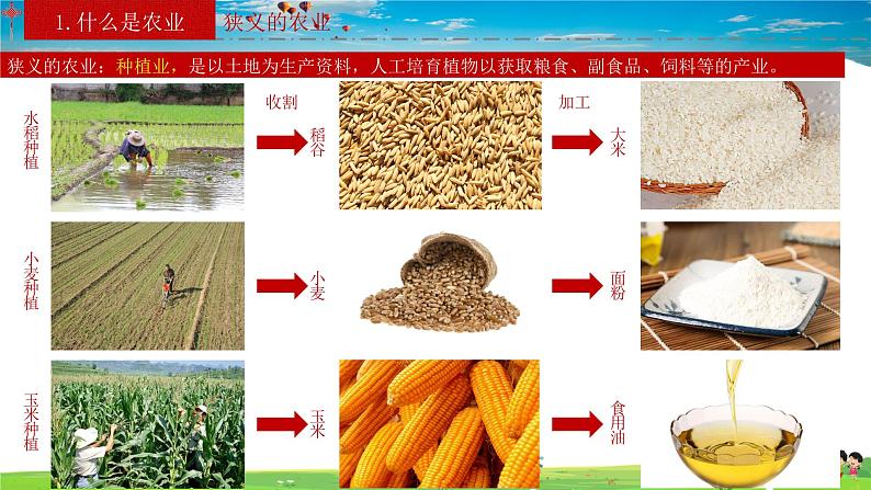 人教版八年级上册4.2 农业（上）课件第6页