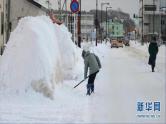 人教版七年级地理上册 3.2 气温的变化与分布课件PPT