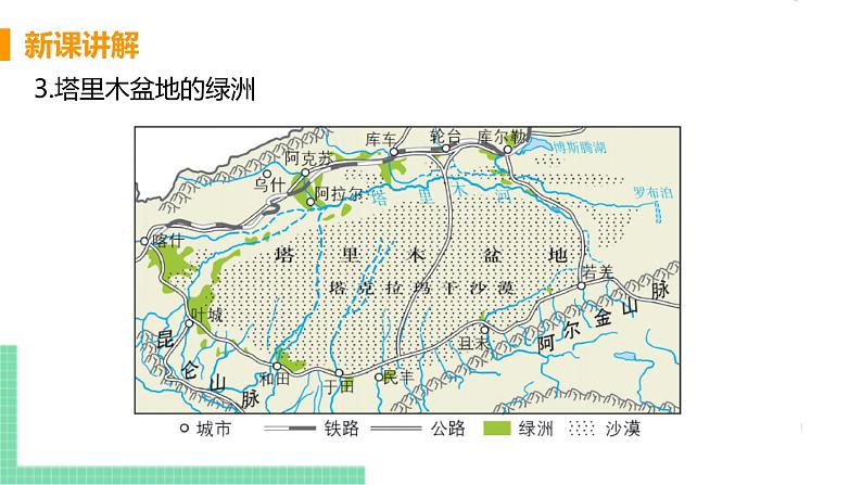 人教版八年级地理下册 第八章 西北地区 第二节  干旱的宝地——塔里木盆地 课件08