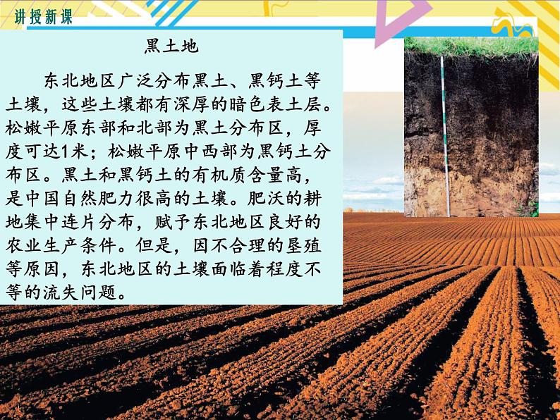 第三节东北地区的产业分布第7页