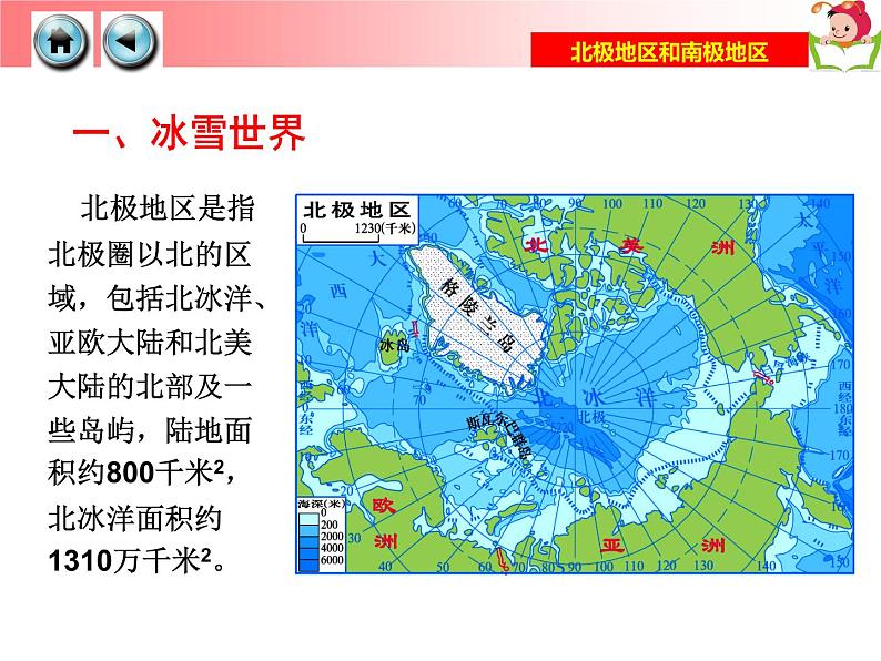 湘教版七年级地理下册7.5 北极地区和南极地区课件第4页