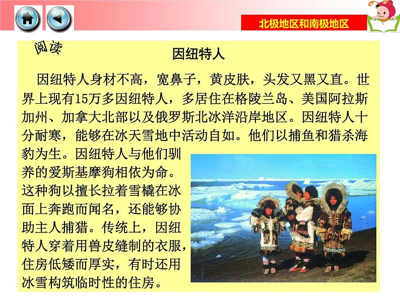 湘教版七年级地理下册7.5 北极地区和南极地区课件第8页