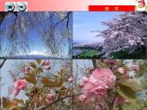 湘教版七年级地理下册8.1 日本课件