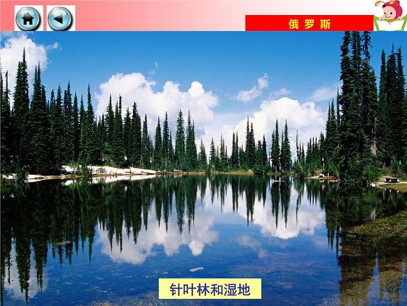 湘教版七年级地理下册8.3 俄罗斯课件03
