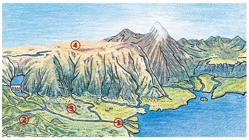 4.3 人类的聚居地——聚落（9）（课件）地理七年级上册-人教版02