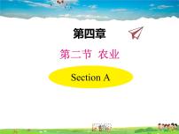 地理八年级上册第四章   中国的主要产业第一节   农业教学课件ppt