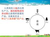 湘教版地理 八年级上册- 第四章 第一节 农业【教学课件+教案】