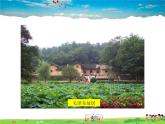 湘教版地理 八年級(jí)下冊(cè)- 第七章 第五節(jié) 長(zhǎng)株潭城市群內(nèi)部的差異與聯(lián)系【教學(xué)課件+教案】