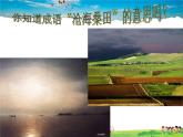 湘教版地理七年级上册  《第2章第4节 海陆变迁》PPT课件 (4)