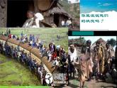 湘教版地理七年级上册  《第5章第1节 发展中国家与发达国家》PPT课件 (4)