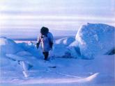 湘教版地理七年级下册  《第7章第5节 北极地区和南极地区》PPT课件 (7)