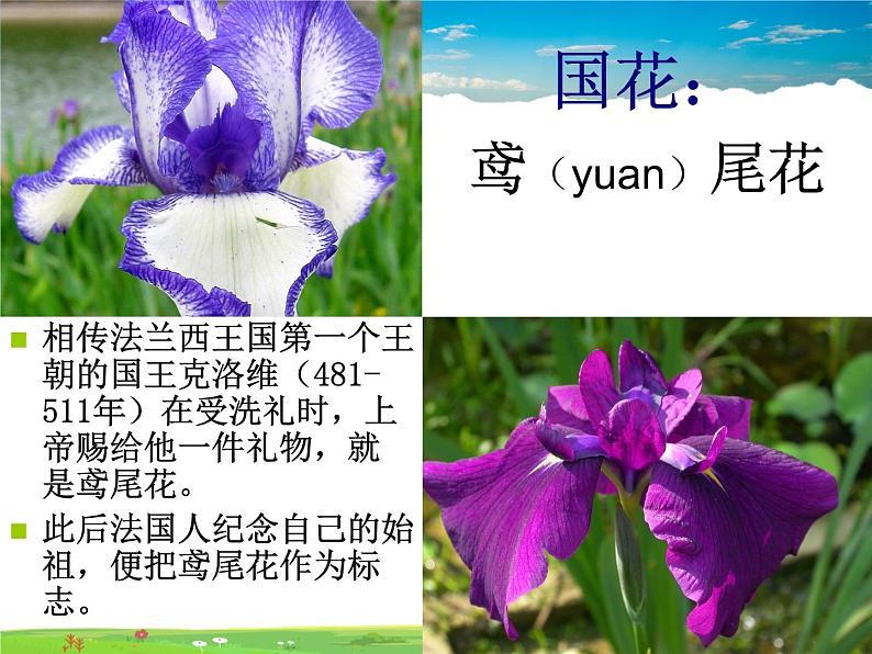 湘教版地理七年级下册  《第8章第4节 法国》PPT课件 (1)04