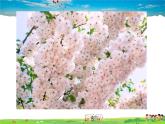 湘教版地理八年级上册  《第3章第一节 自然资源概况》PPT课件 (4)