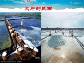 中国的海洋资源PPT课件免费下载
