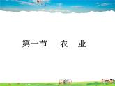 湘教版地理八年级上册  《第4章第一节 农业》PPT课件 (7)