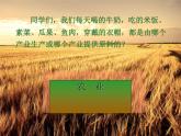 湘教版地理八年级上册  《第4章第一节 农业》PPT课件 (5)