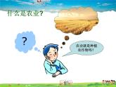 湘教版地理八年级上册  《第4章第一节 农业》PPT课件 (5)
