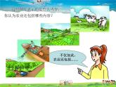 湘教版地理八年级上册  《第4章第一节 农业》PPT课件 (5)