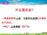 湘教版地理八年级上册  《第4章第一节 农业》PPT课件 (4)