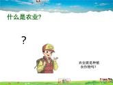 湘教版地理八年级上册  《第4章第一节 农业》PPT课件 (6)