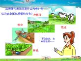 农业PPT课件免费下载