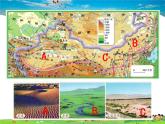 湘教版地理八年级下册  《第5章第3节 西北地区和青藏地区》PPT课件 (13)