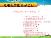 湘教版地理八年级下册  《第5章第3节 西北地区和青藏地区》PPT课件 (6)