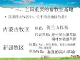 湘教版地理八年级下册  《第5章第3节 西北地区和青藏地区》PPT课件 (7)