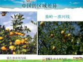 湘教版地理八年级下册  《第5章第1节 四大地理区域的划分》PPT课件 (8)