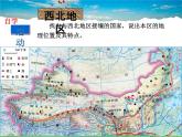 湘教版地理八年级下册  《第5章第3节 西北地区和青藏地区》PPT课件 (11)