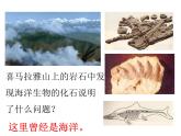 2021-2022学年度人教版七年级地理上册课件 2.2海陆的变迁