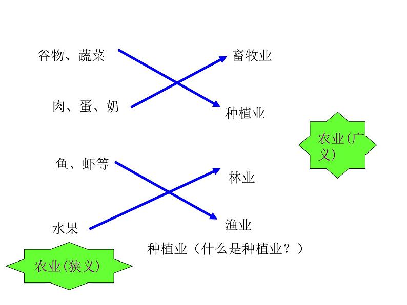 2021-2022学年度人教版八年级地理上册  4.2农业课件第6页