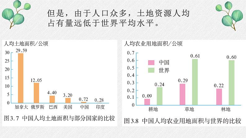 人教版八年级上册地理第三章第二节《土地资源》课件07