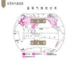 人教版七年级地理上册--3.4 世界的气候类型（第二课时）（课件）