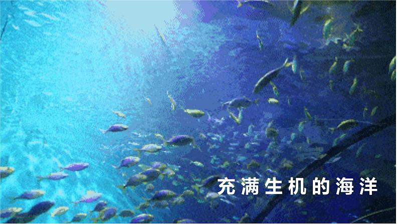 3.4 中国的海洋资源课件PPT第3页