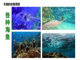 3.4 中国的海洋资源课件PPT