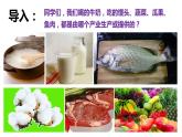 4.1 农业课件PPT