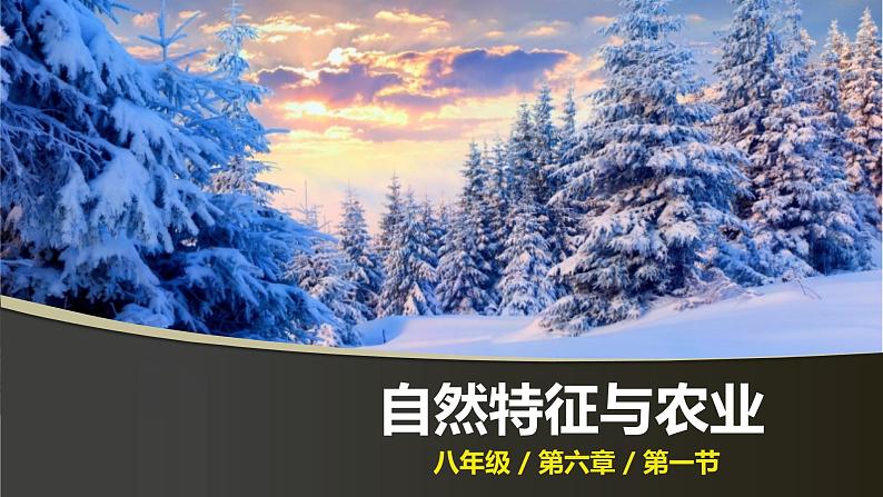 2021-2022  人教版八下6.1自然特征与农业 课件01