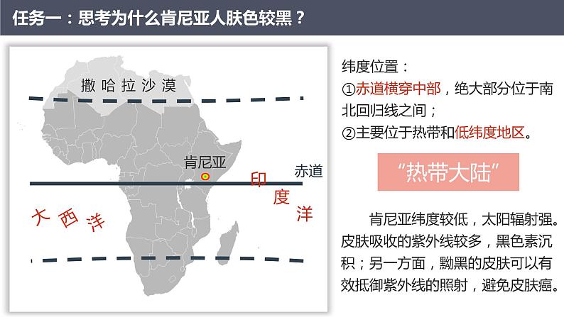 人教版 七年级下册地理 8.3撒哈拉以南的非洲  课件第7页