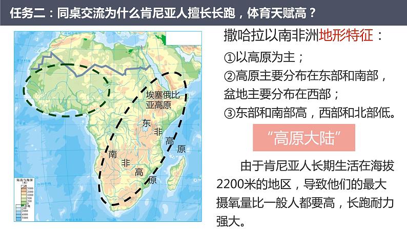 人教版 七年级下册地理 8.3撒哈拉以南的非洲  课件第8页