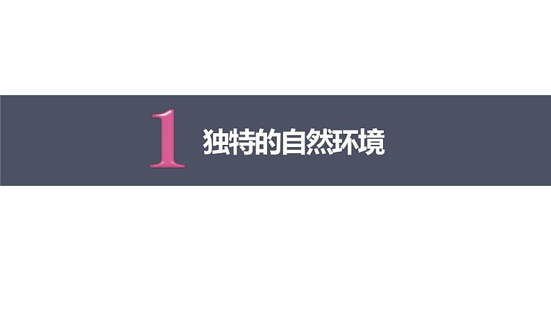 人教版 七年级下册地理 10.1极地地区  课件04