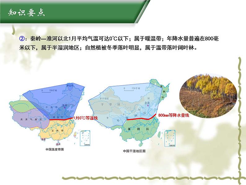 5.2重要的地理分界线（知识要点+复习巩固） 同步复习课件03