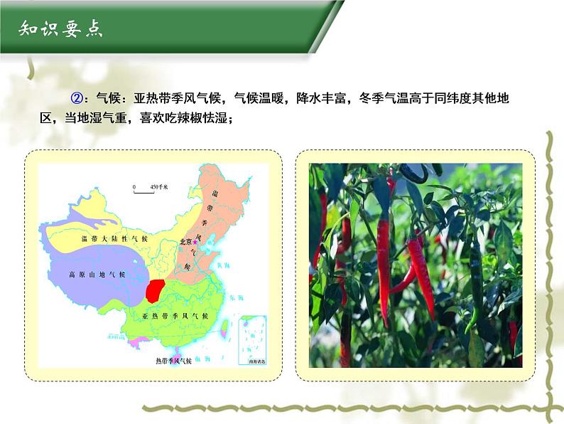 7.3四川盆地（知识要点+复习巩固） 同步复习课件第3页